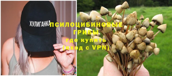 эйфоретик Алексеевка